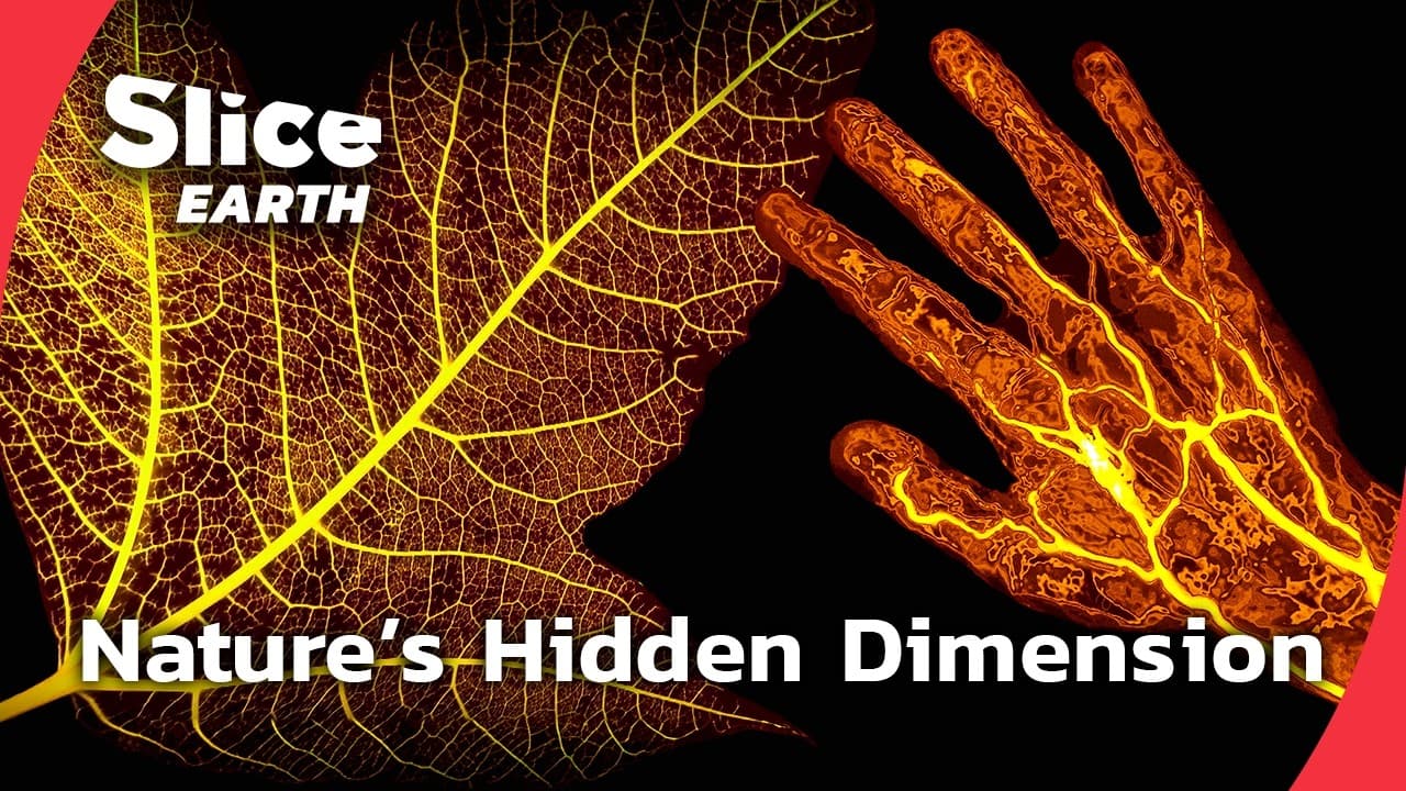 New Scientific Discoveries That Change Everything About Plants | SLICE EARTH | FULL DOC