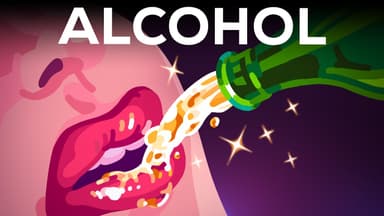 Alcohol is AMAZING